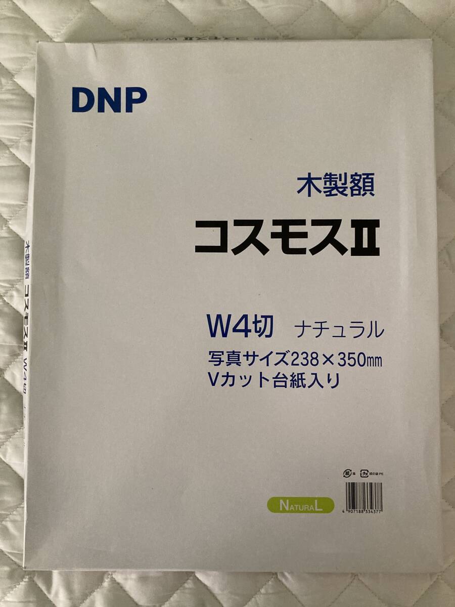 【未使用品】!木製額 DNP コスモスⅡ W4切サイズ 額縁拍卖