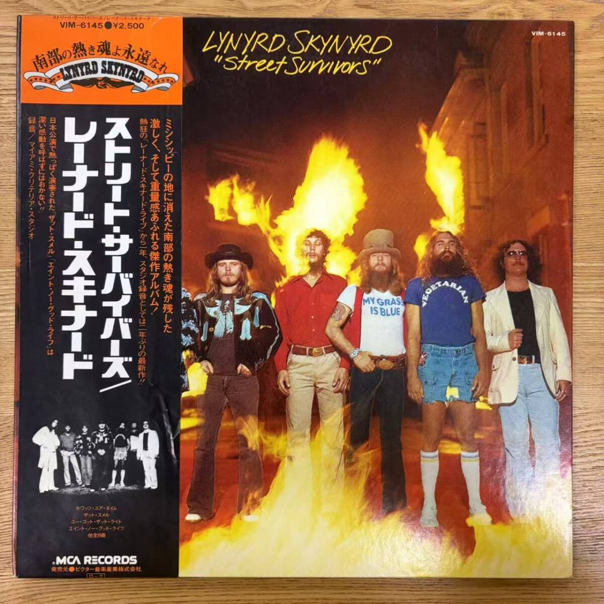 帯付 Lynyrd Skynyrd「Street Survivors」LP(12インチ)/MCA Records(VIM-6145)/洋楽ロック NB1020-11拍卖
