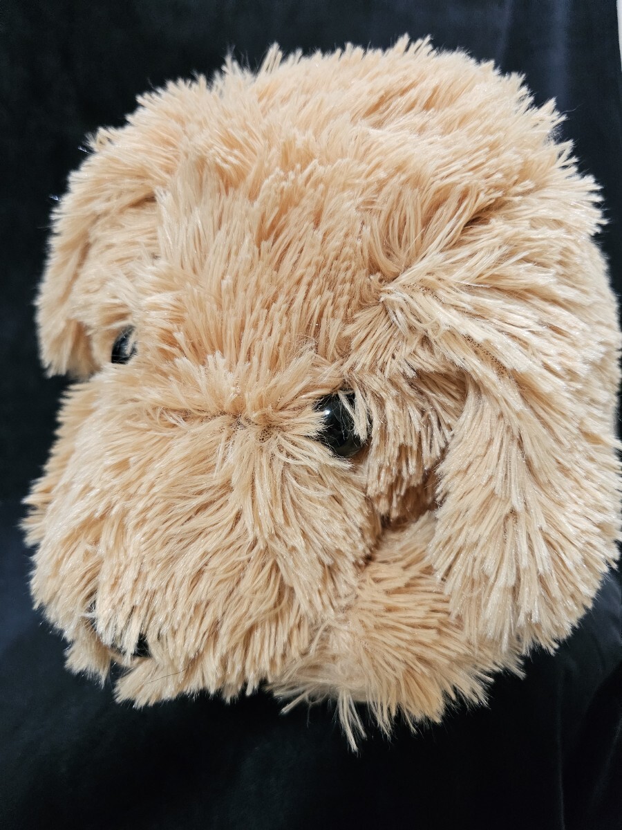BIGぬいぐるみコーイケル ゴールデン拍卖
