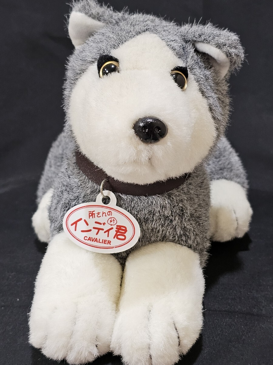 希少 所さん インディ君 世田谷ベース拍卖