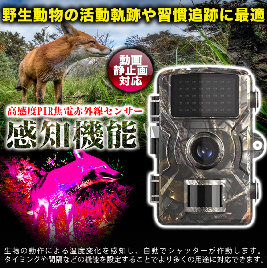 トレイルカメラ 防犯 監視 小型 1080P フルHD ワイヤレス 屋外 熱感知 赤外線 人感センサー 配線不要 電池 防水 防塵 IP66 雨 駐車場 拍卖
