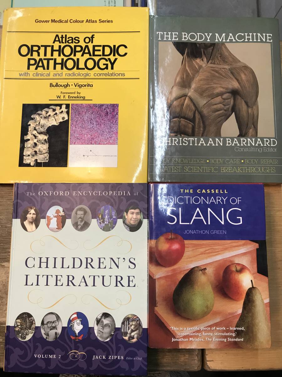 J1029-11.洋書/医療/医学/病気/外科/人体の仕組み/児童文学/イラスト/英語圏/事典/辞書/インテリア/アンティーク拍卖