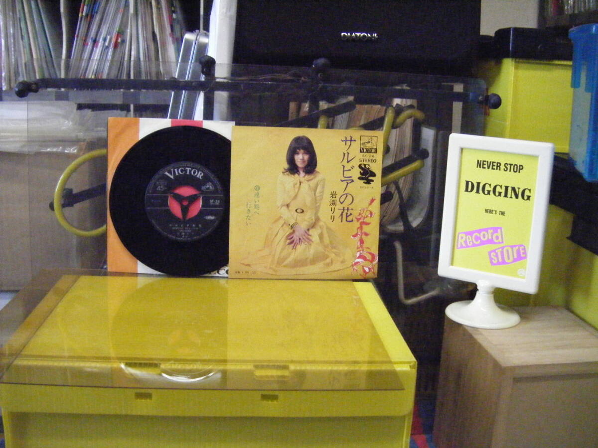 YS-457 岩渕リリ / サルビアの花 ※シングル盤 拍卖