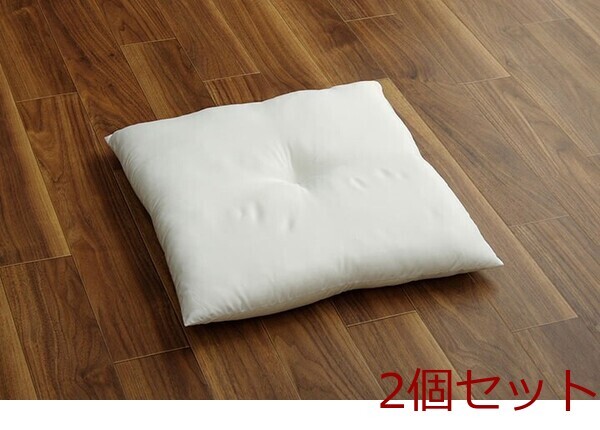 ヌードクッション 国産 日本製 洗える シート 椅子用 アイボリー 約45×45cm 2枚組 ヌード 45角シート 2セット拍卖