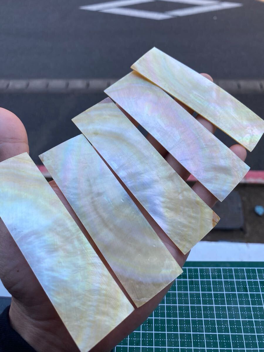 白蝶貝 5枚セット 10cm 前後螺鈿細工 ハンドメイド ハンドメイド ハンドクラフト ルアー ボタン作り 素材拍卖