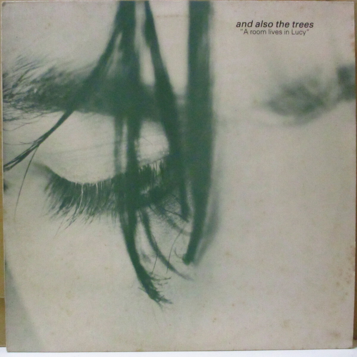 AND ALSO THE TREES(アンド・オールソー・ザ・トゥリーズ)-A Room Lives In Lucy (拍卖