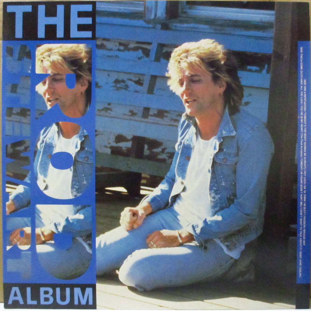 ROD STEWART(ロッド・スチュワート)-サムシング・スペシャル - The Rod Stewart Album拍卖