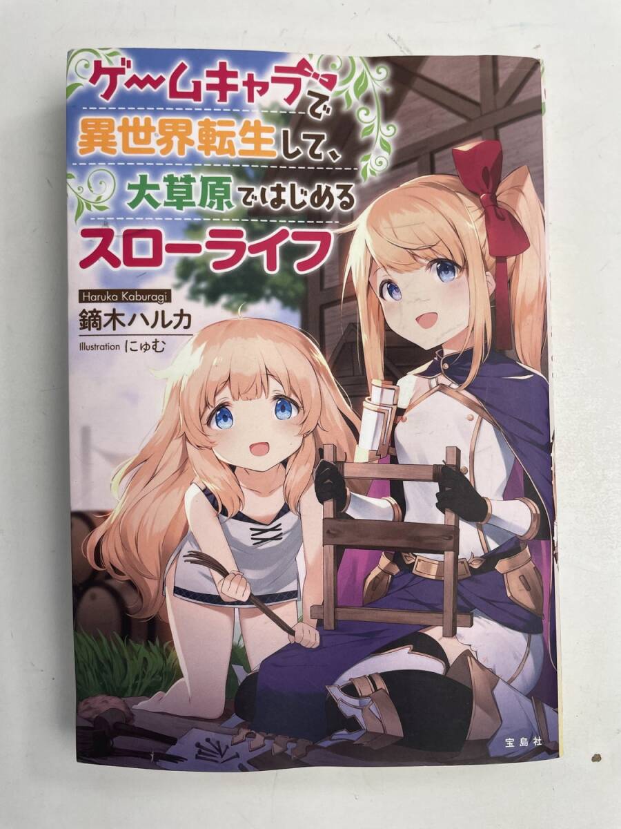 ゲームキャラで異世界転生して、大草原ではじめるスローライフ 平成31年 2019年発行初版【K186095】251022拍卖