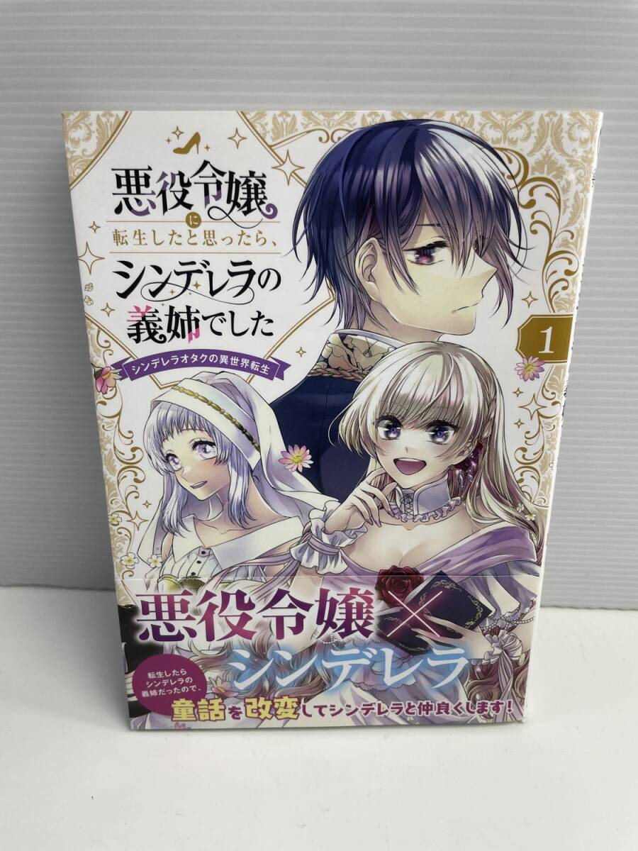 マックガーデン悪役令嬢に転生したと思ったら、シンデレラの義姉でした【K187742】251030拍卖