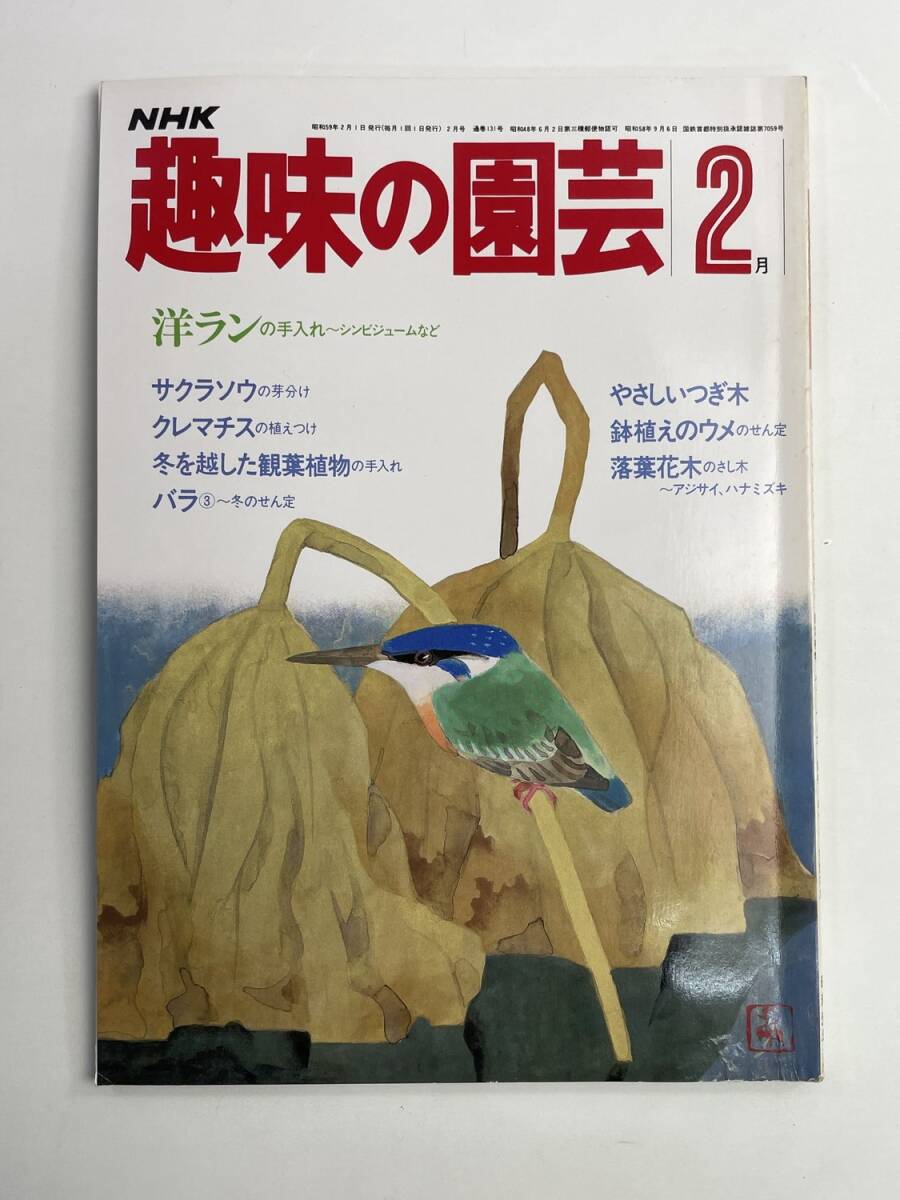 NHK趣味の園芸 昭和59年2月号 洋ランの手入れシンビジュームなど サクラソウ【K188014】251030拍卖