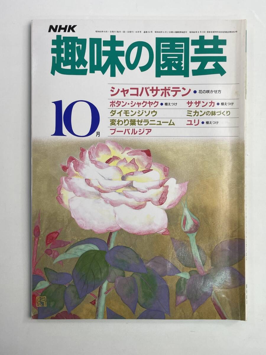 NHK趣味の園芸 昭和60年10月号 シャコバサボテン ボタン サザンカ ダイモンジソウ【K188020】251030拍卖