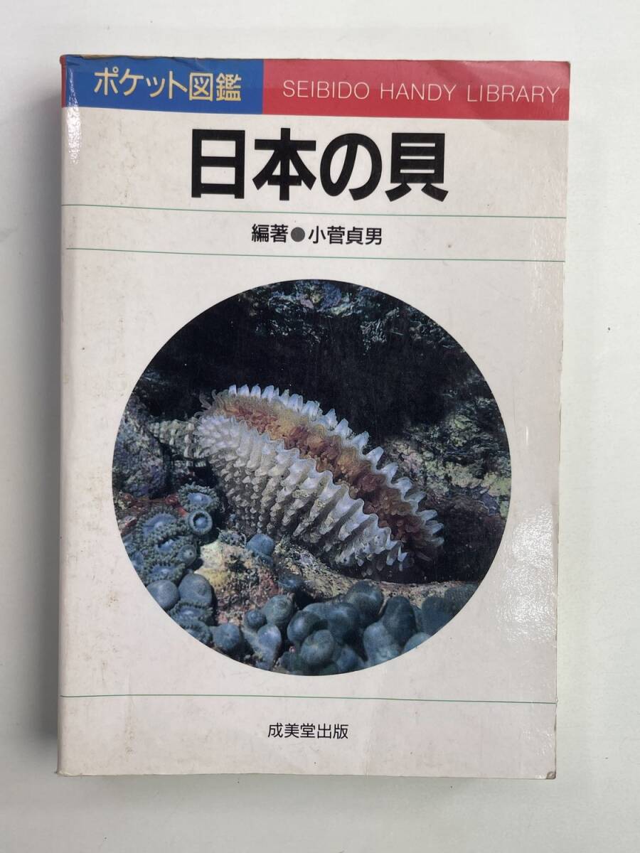 日本の貝 成美堂出版 ポケット図鑑 編著小菅貞男 平成6年 1994年発行【K188166】251030拍卖