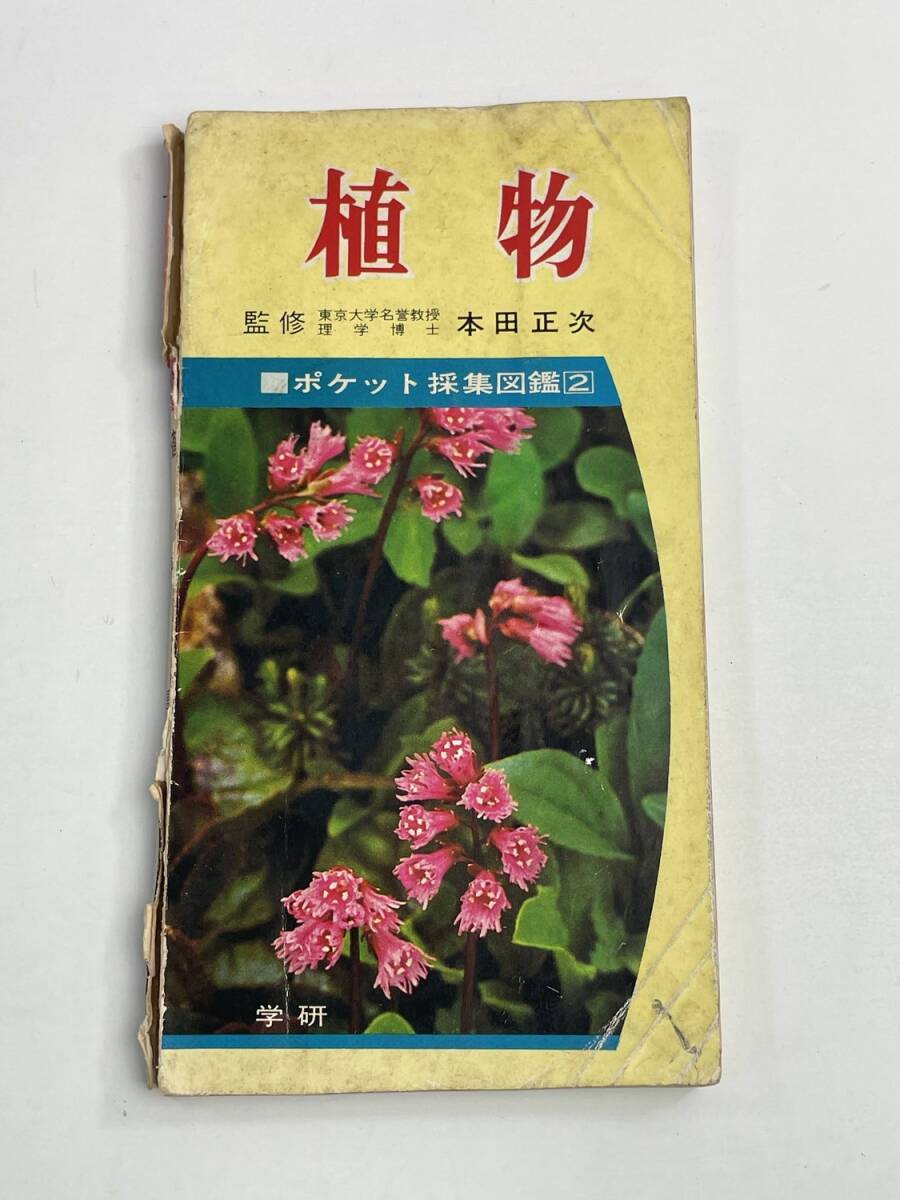 ポケット採集図鑑2 植物 / 本田正次【K188505】251030拍卖