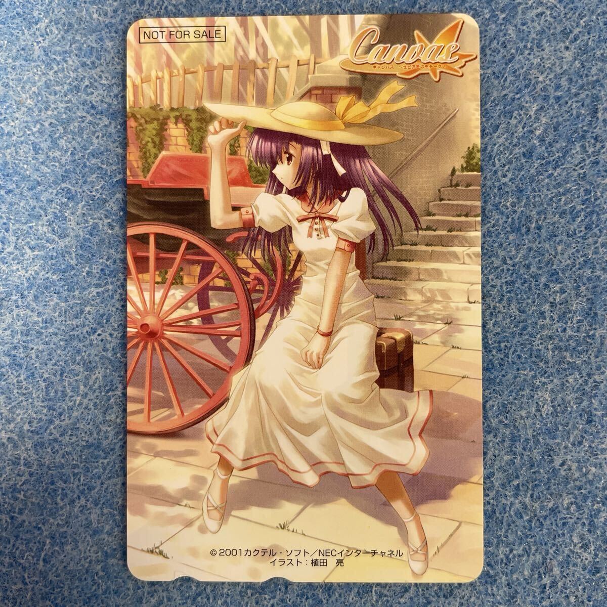 T056【未使用】「Canvas セピア色のモチーフ」 テレホンカード 50度 テレカ 非売品拍卖