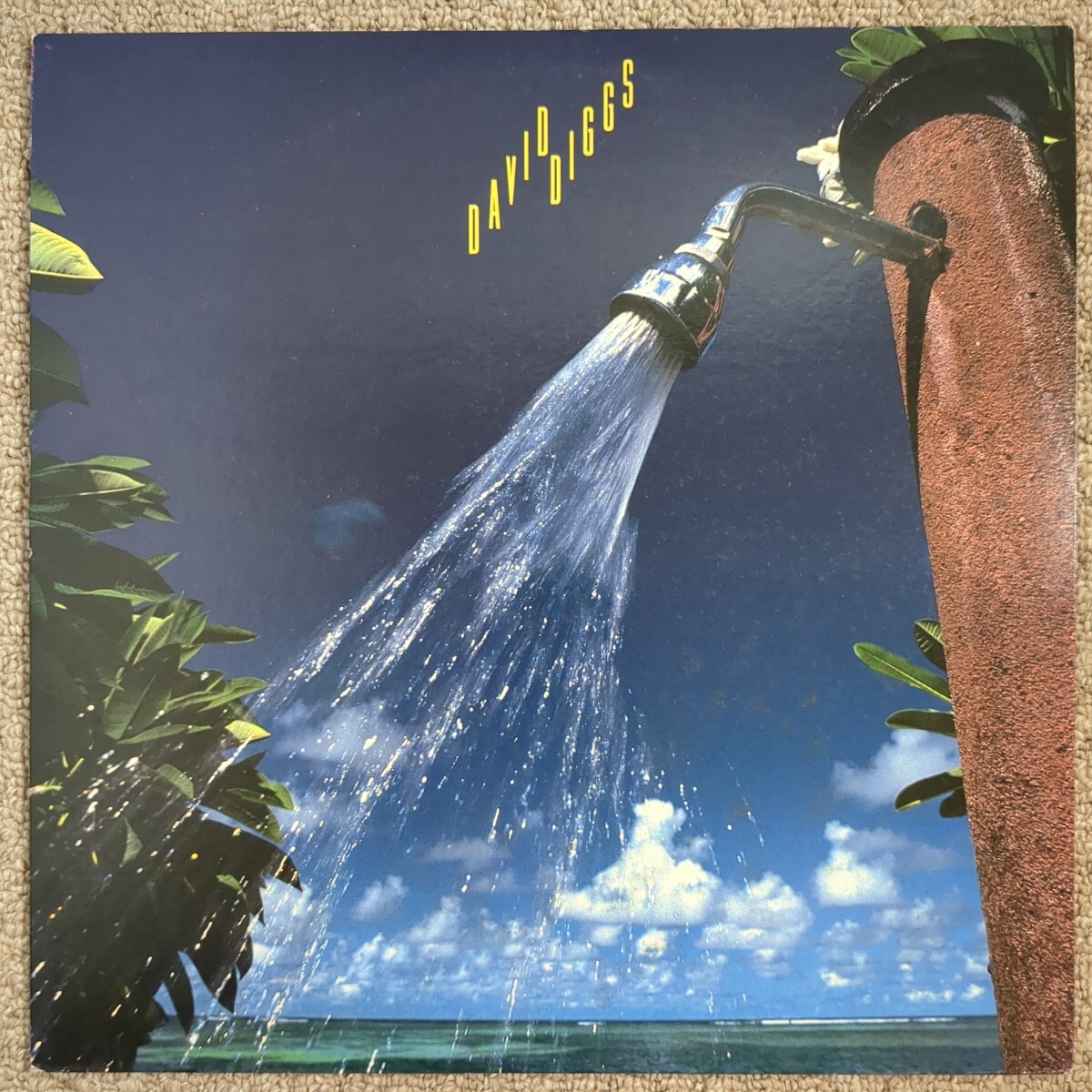 ■L・A・ザ・セッションズ VOL.2■ミント・サマー■デイビッド・ディグズ■David Diggs■Streetshadows■VIJ-28046■フュージョン■AOR拍卖