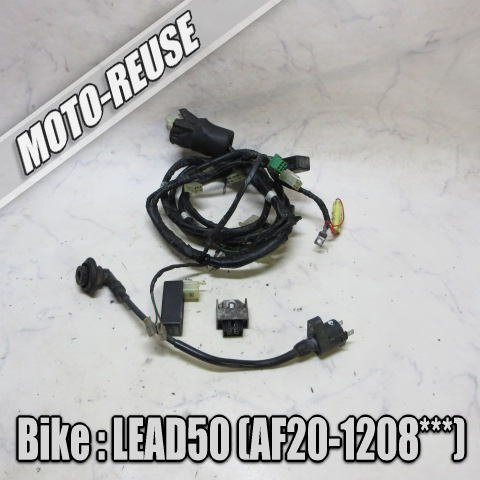 □【LEAD50 リード50 AF20】純正ハーネス+電装セット CDI/レギュレーター/IGコイル 「GK8 CF488B」 □K79165拍卖