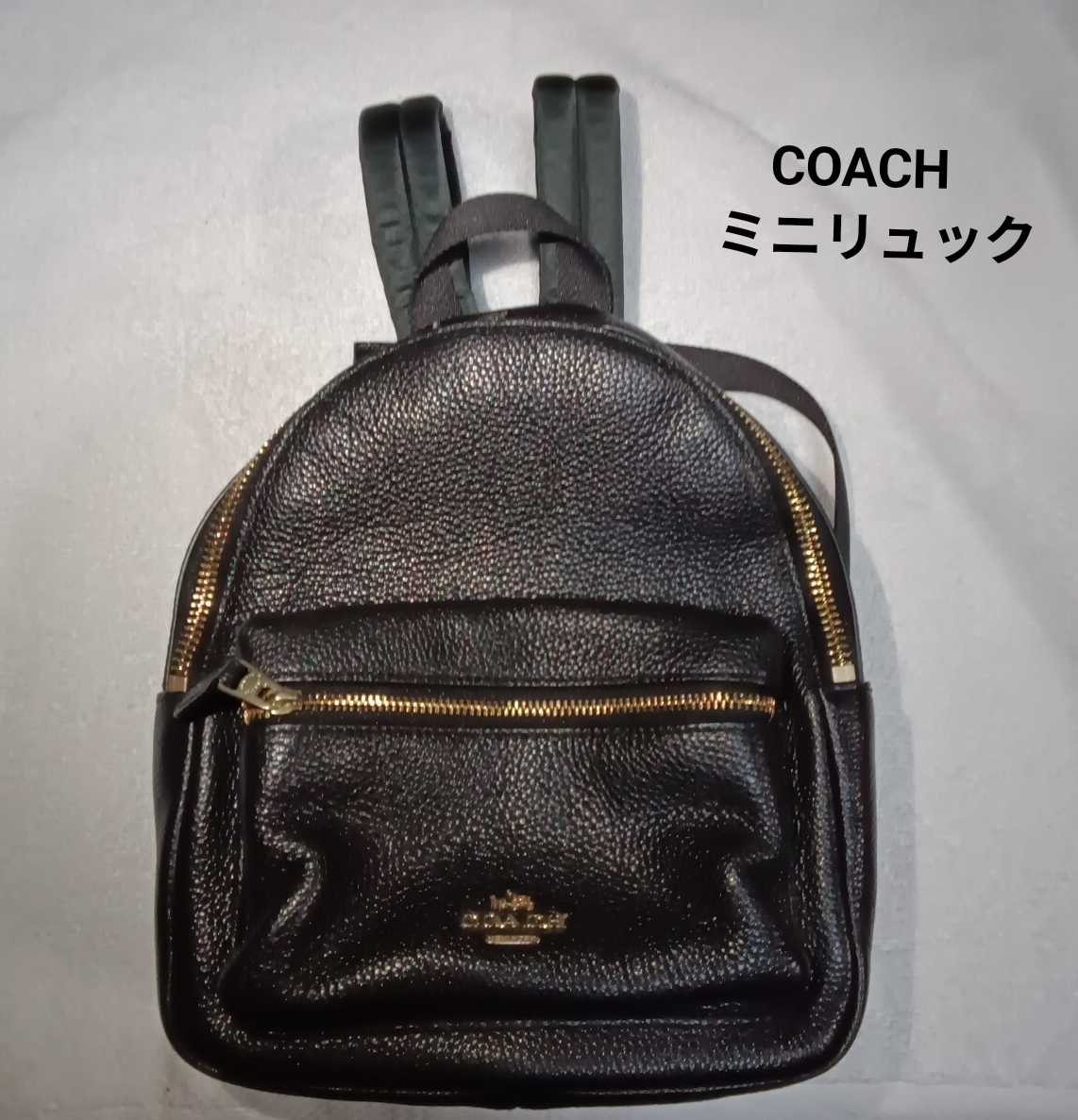 COACH レザー ブラック ミニチャーリーバック リュック バックパック拍卖