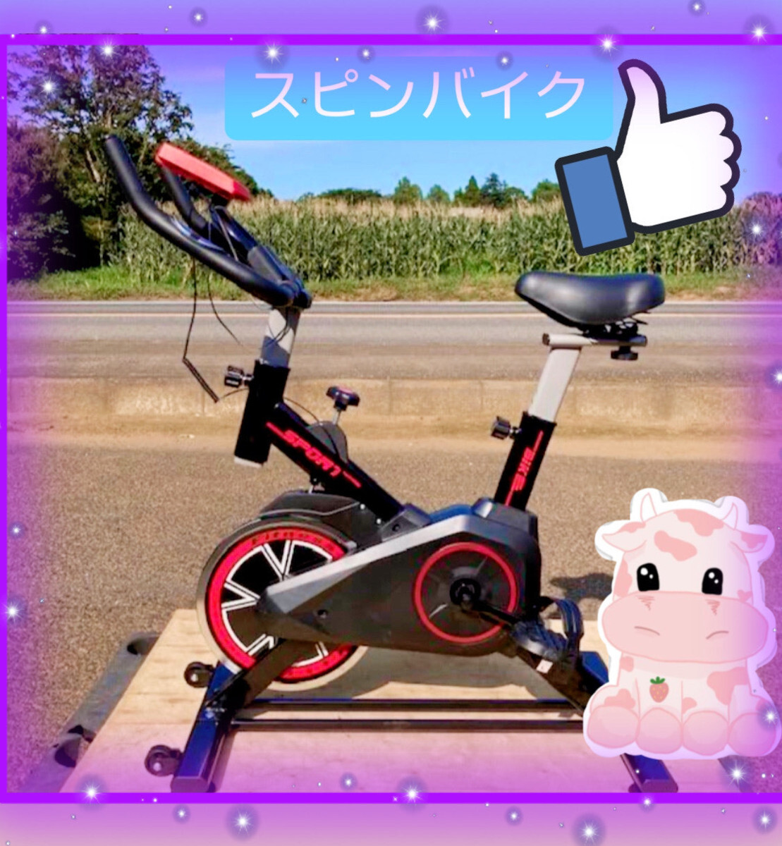 スピンバイク GEJ-SB303 フィットネスバイク 静音 各システム 最軽量級 5kgホイール 新品 y拍卖