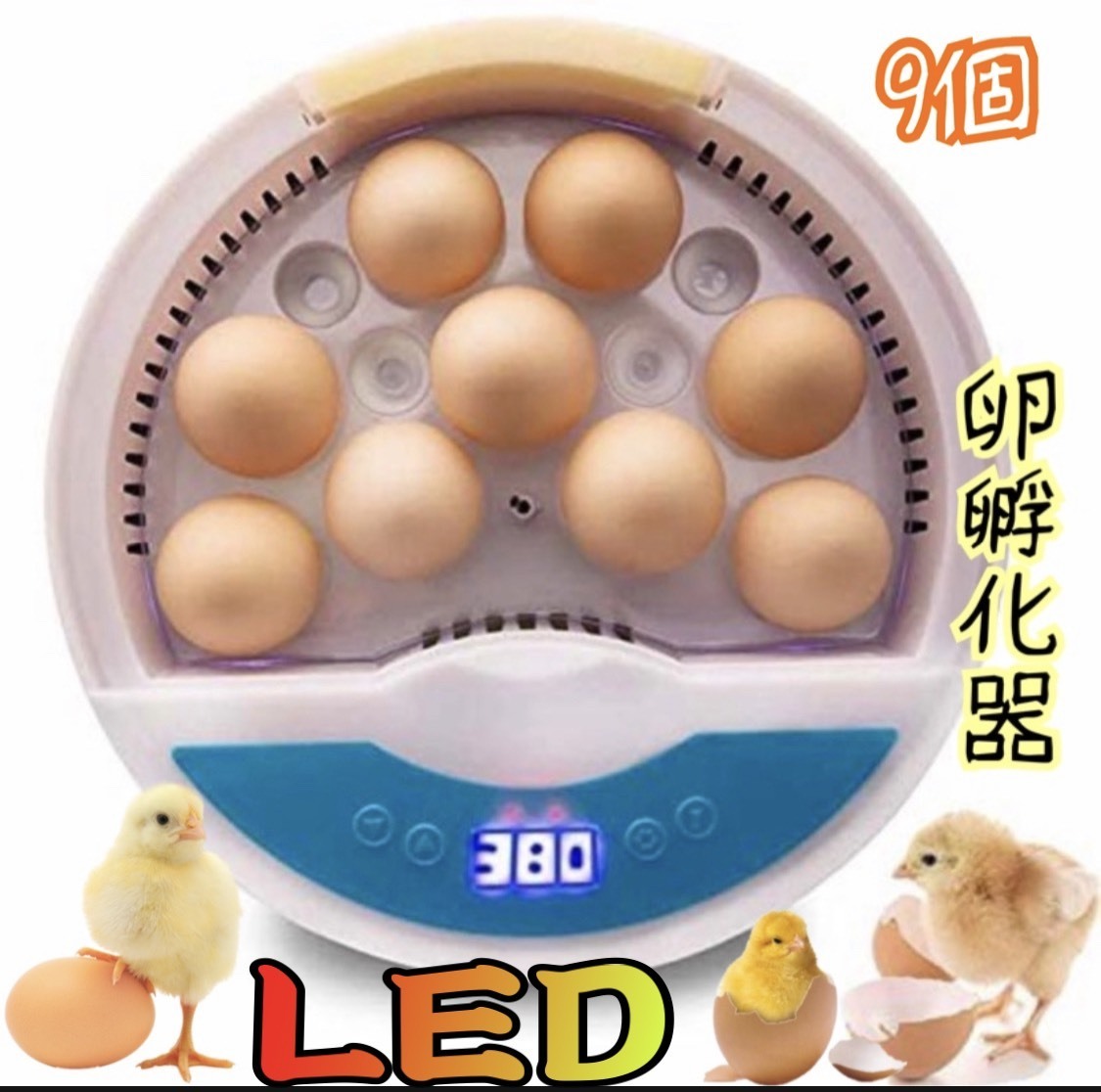 LED自動孵卵器 インキュベーター 検卵ライト内蔵 鳥類専用ふ卵器 孵化器 9個 子供教育用 家庭用拍卖