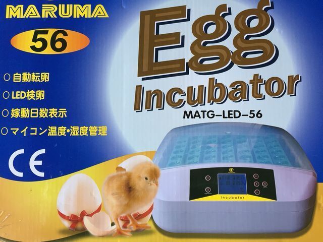 孵卵器 PSE認証 ふ卵器 孵化器 インキュベーター 最大56個 y拍卖