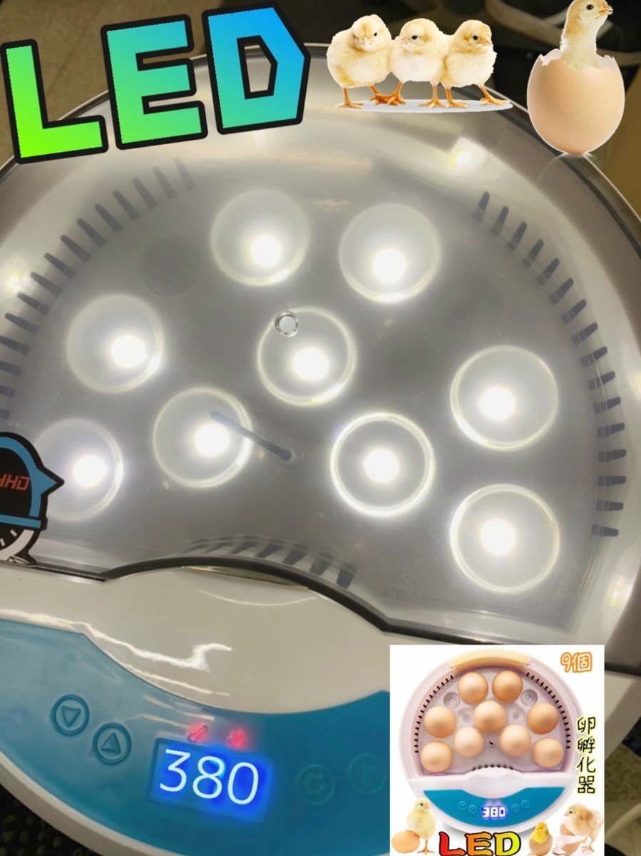 LED自動孵卵器 インキュベーター 検卵ライト内蔵 鳥類専用ふ卵器 孵化器 9個 子供教育用 家庭用 y拍卖