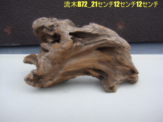 流木B72_21センチ12センチ12センチ拍卖