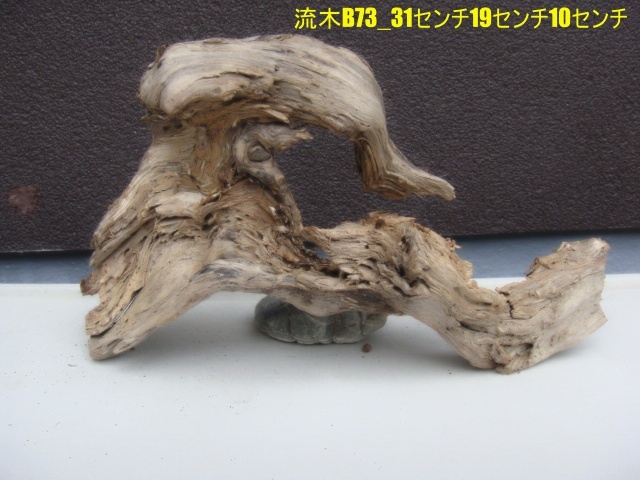 流木B73_31センチ19センチ10センチ拍卖