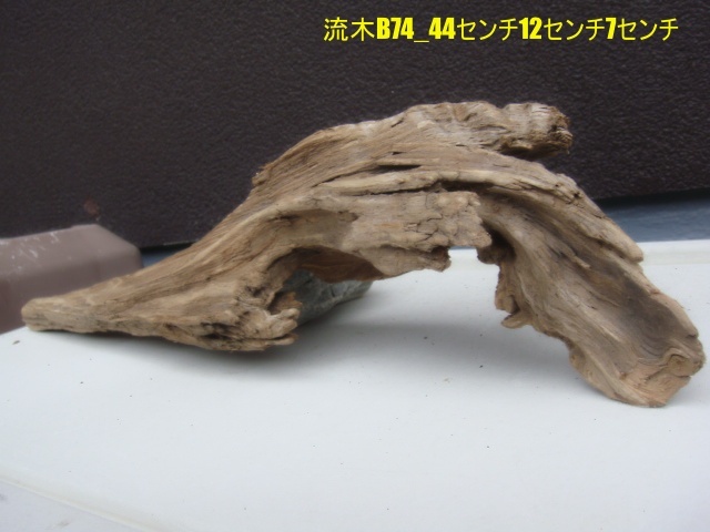流木B74_44センチ12センチ7センチ拍卖
