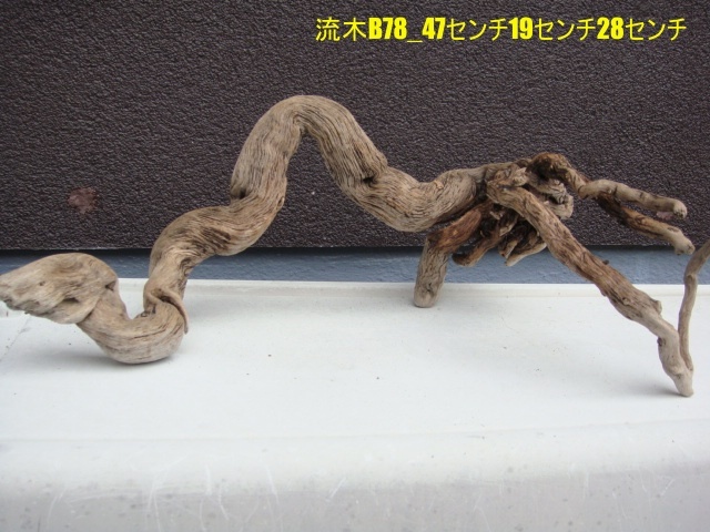 流木B78_47センチ19センチ28センチ拍卖