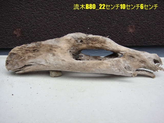 流木B80_22センチ10センチ6センチ拍卖