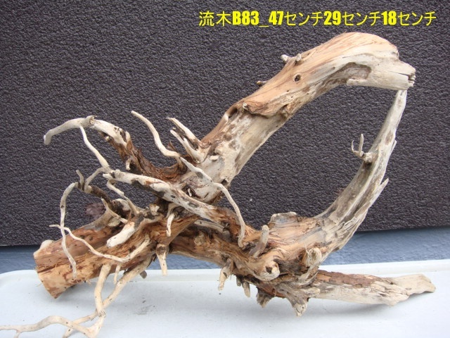 流木B83_47センチ29センチ18センチ拍卖