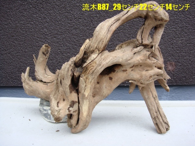 流木B87_29センチ22センチ14センチ拍卖