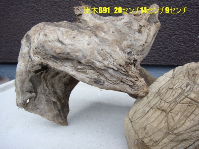 流木B91_20センチ14センチ9センチ拍卖