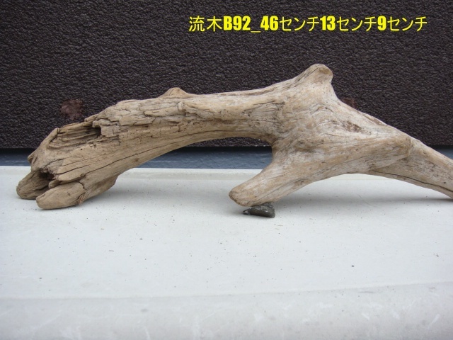 流木B92_46センチ13センチ9センチ拍卖