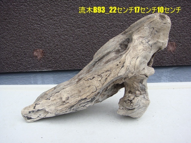 流木B93_22センチ17センチ10センチ拍卖