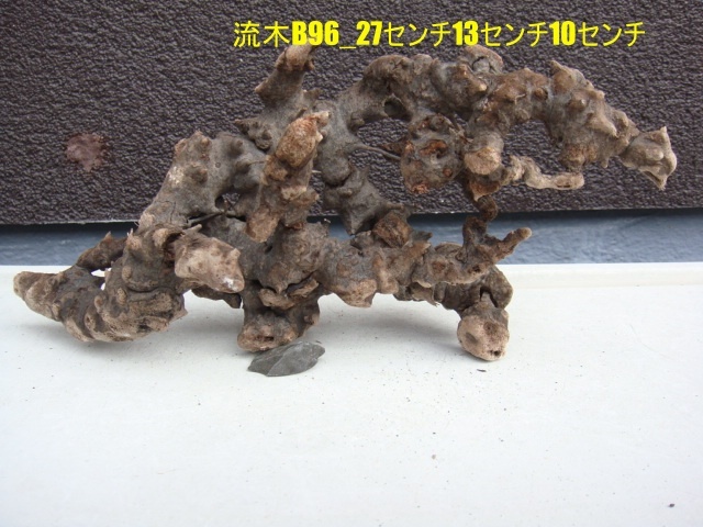 流木B96_27センチ13センチ10センチ拍卖