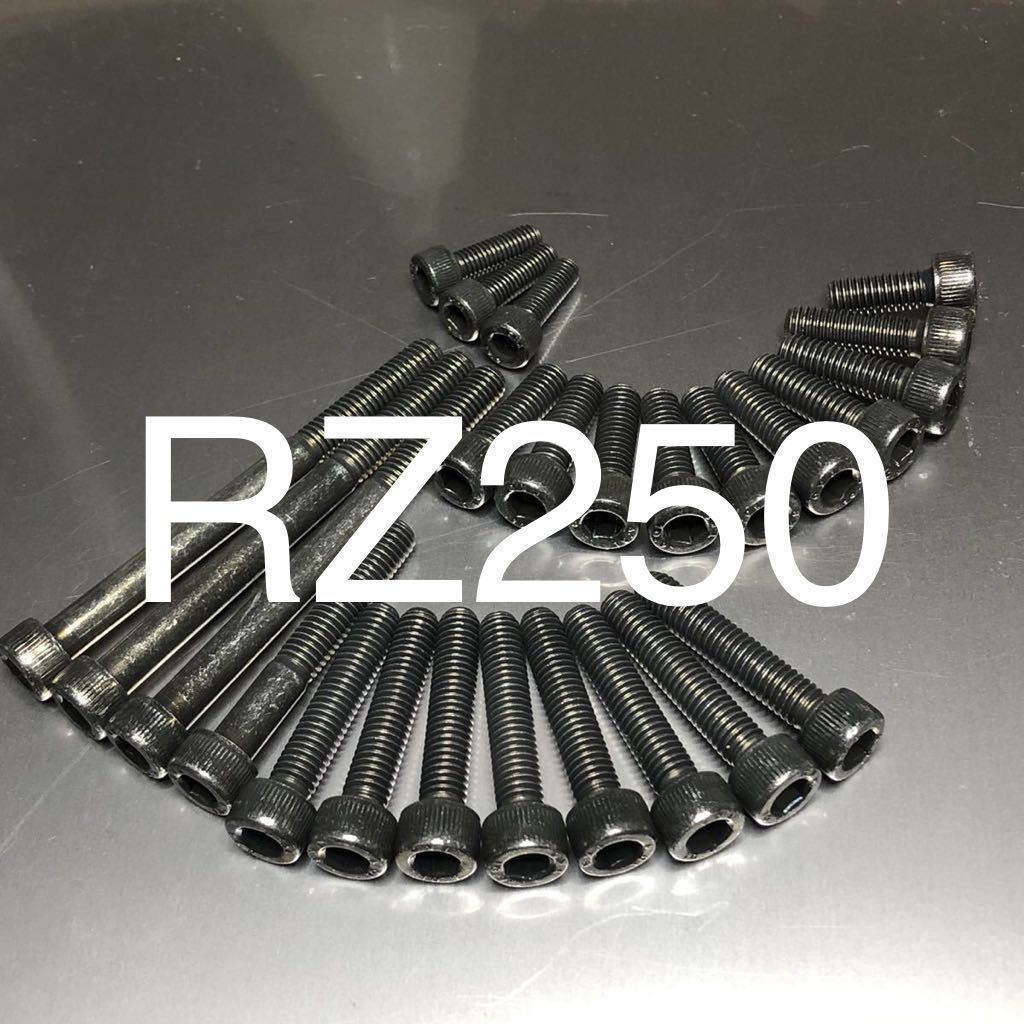 RZ250 350 4L3 ブラックメッキエンジンカバーボルト クランクケースに優しいスチール製 ブラックメッキキャップボルト 1台分25本セット拍卖