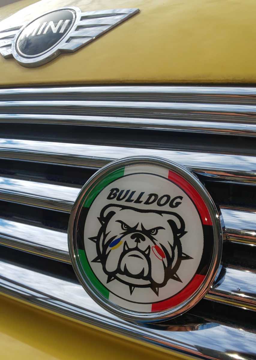 MINI グリルバッジ ブルドッグトリコローレ拍卖