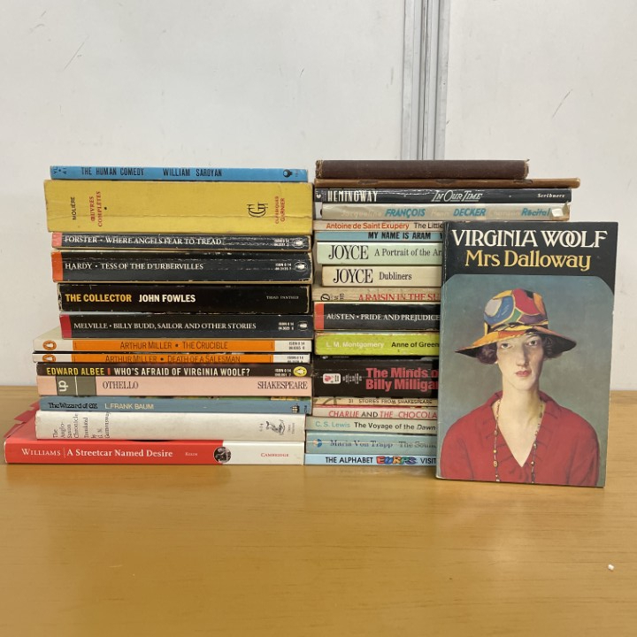 ▲01)【1点限り!】哲学・文学・小説などの洋書 まとめ売り約30冊大量セット/物語/シェイクスピア/児童書/PENGUIN/CLASSICS/B拍卖