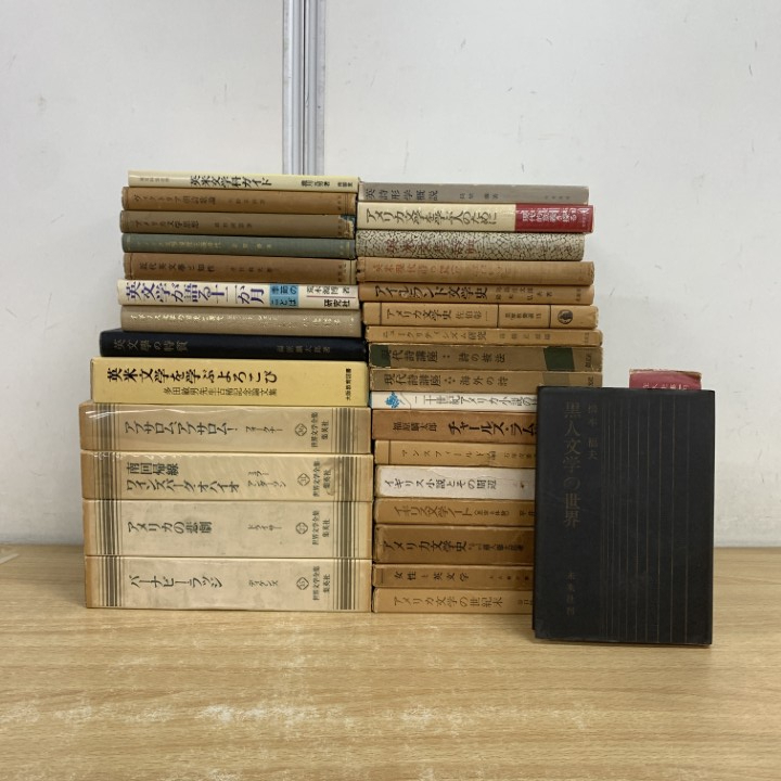 ■01)【1点限り!】英米文学史 まとめ売り約30冊大量セット/本/アメリカ/思想/詩歌論/アイルランド/小説/イギリス/女性/研究/黒人/世界/B拍卖
