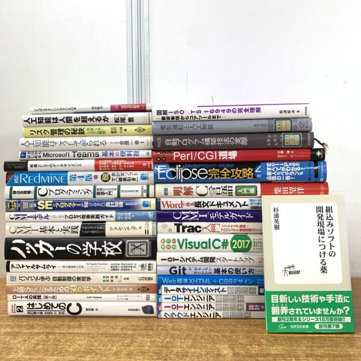 ■01)【1点限り!】IT・プログラミングの本/まとめ売り約30冊大量セット/Microsoft/プログラマー/CMMI/人工知能/C言語/エンジニア/IOT/B拍卖