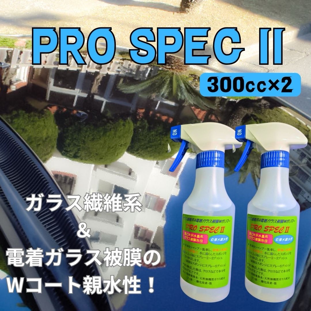 #親水性 ガラス繊維系&電着ガラス被膜Wコーティング剤 300㏄×2本 プロスペックⅡ PROSPECⅡ拍卖