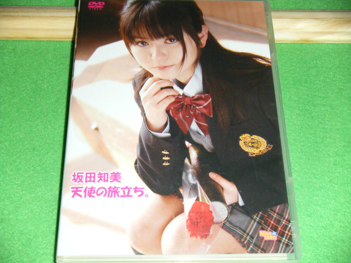 天使の旅立ち。 坂田知美 ニューブレインピクチャーズ ビーエムドットスリー拍卖