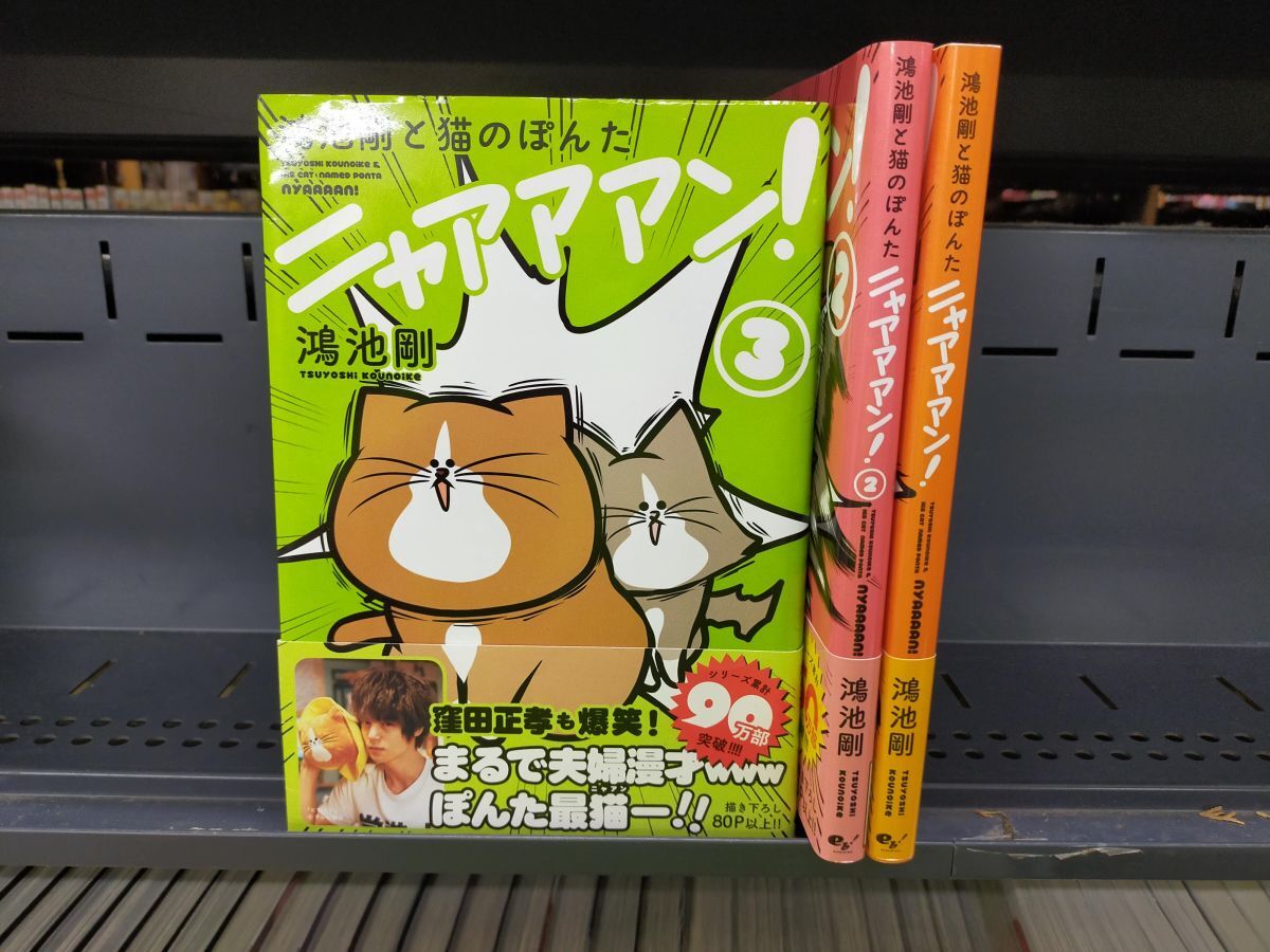 Set_B_20251006_016_鴻池剛と猫のぽんた ニャアアアン! 1-3巻セット 鴻池 剛拍卖