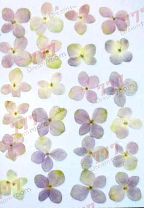 送料無料☆本物 押し花素材 ハンドメイド 花材 DR114LB 押し花 アジサイ 薄パープル拍卖