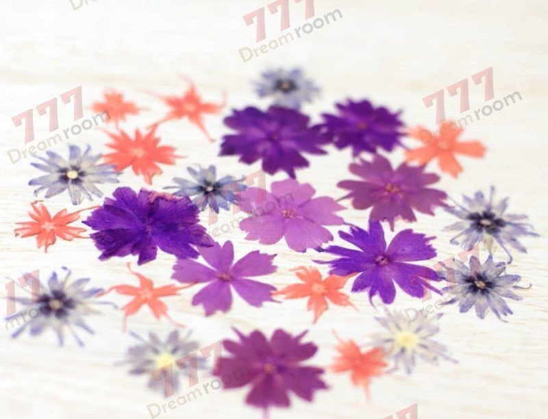 送料無料☆本物 押し花素材 ハンドメイド 花材 スターフロックス ミックス拍卖
