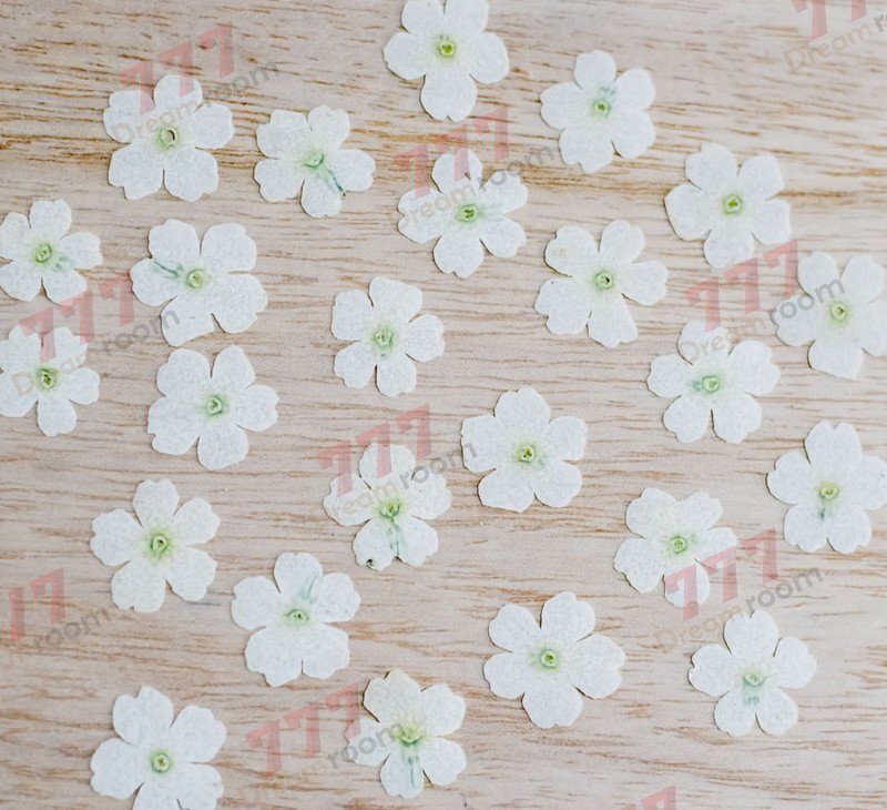 送料無料☆本物 押し花素材 ハンドメイド 花材 DR12DRWY 押し花 バーベナ ホワイト染拍卖