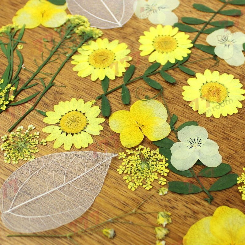 送料無料☆本物 押し花素材 ハンドメイド 花材 押し花セット(D)拍卖