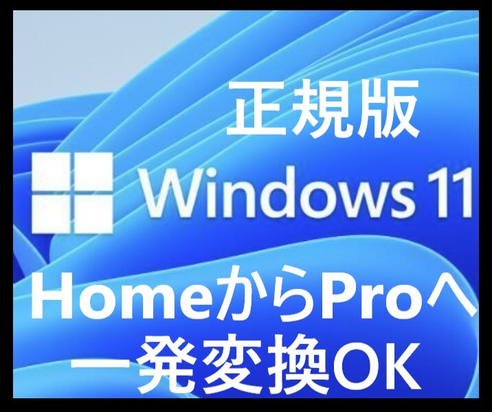 【即対応】 Windows 11 Pro 1PC 日本語 正規版 認証保証 OS ダウンロード版 プロダクトキー ライセンス認証OK HomeからProへOK拍卖