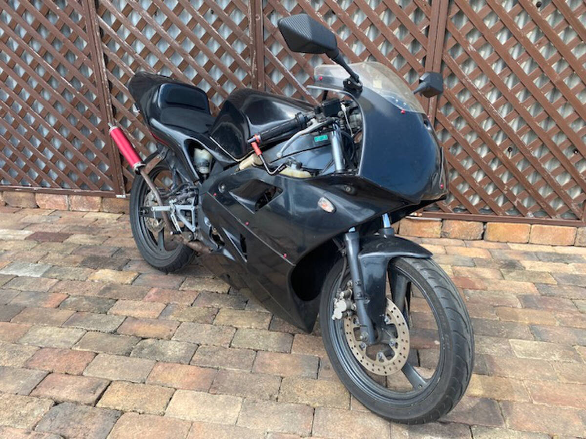 TZR50R 耐久カウル&左右2本出しチャンバー☆!拍卖